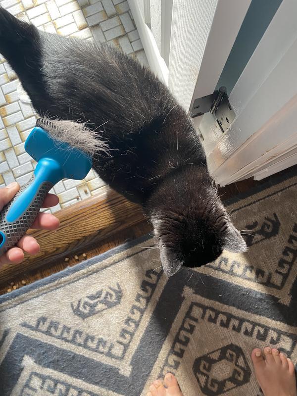 Lots off my cat