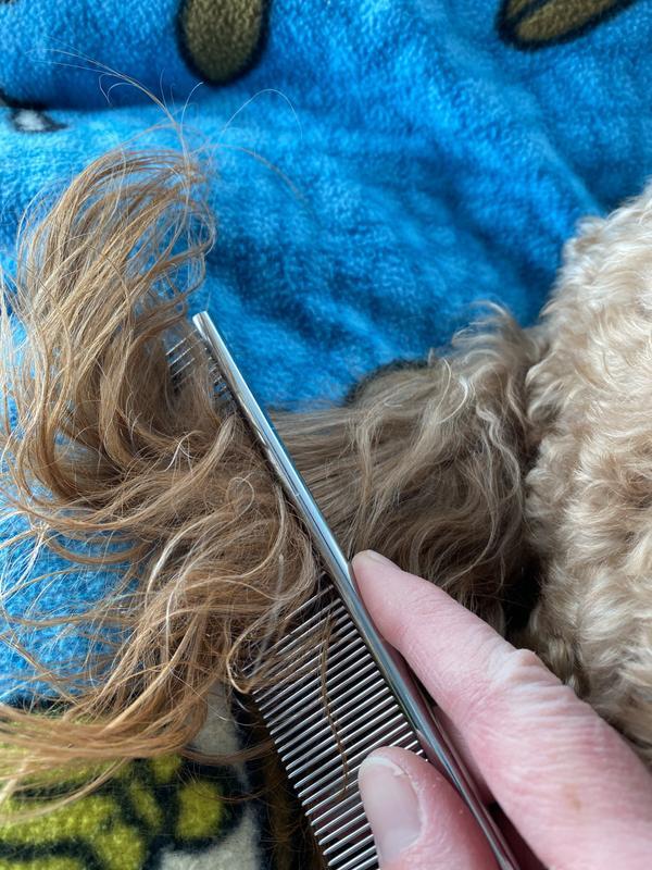 Good comb for longer hair