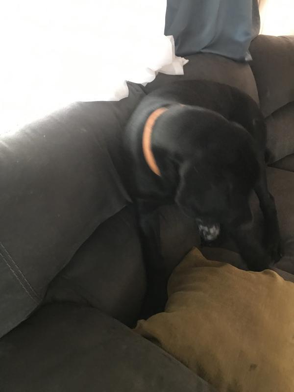 Photo - commentaire&nbsp;8.