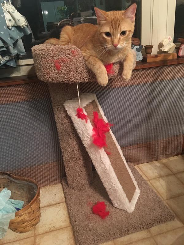 Photo - commentaire&nbsp;2.