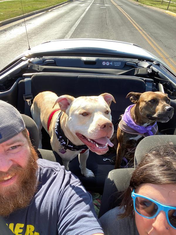 Photo - commentaire&nbsp;4.