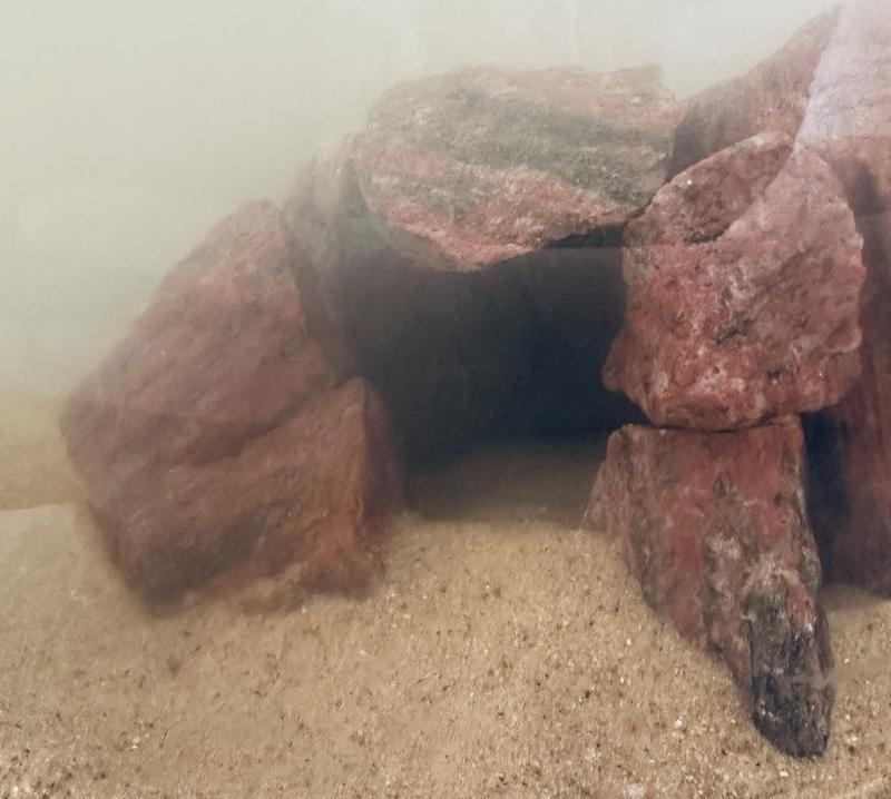 Cave