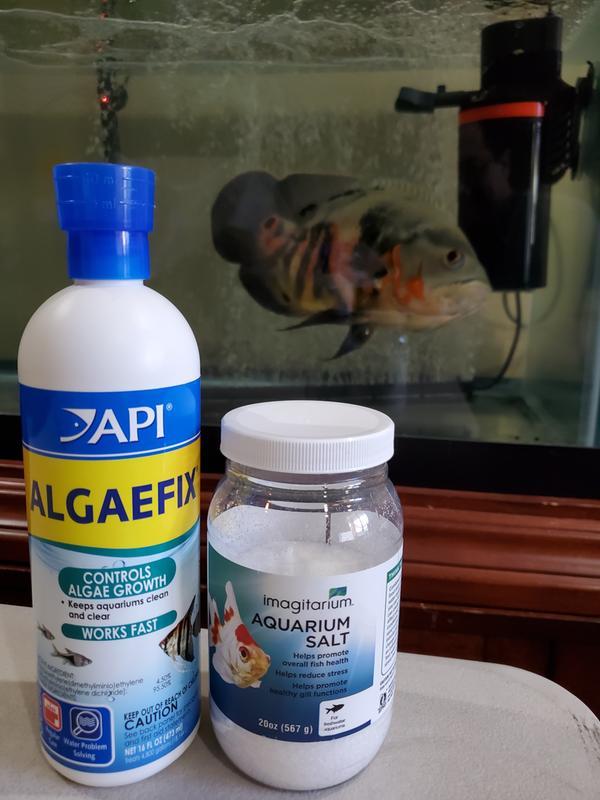 Fish Lives!