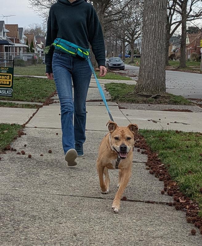 Hands-free walking