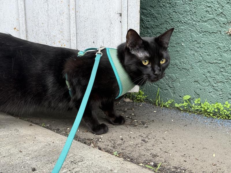 A little crouched because he’s nervous but the color helps him stand out!