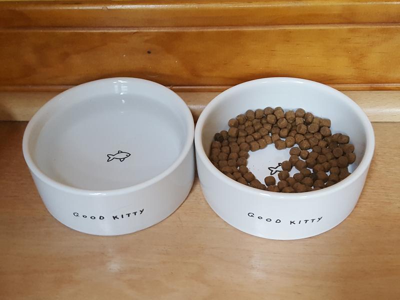 Our Two Kitty Bowls