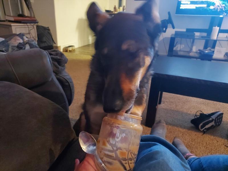 Rewarding him wearing the collar for a few minutes with peanut butter.