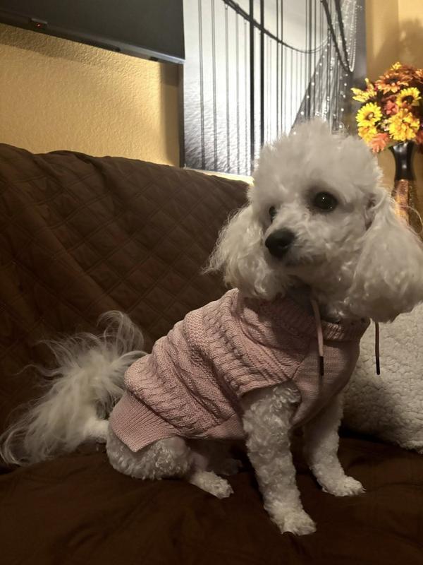 Baby girl looking fabulous