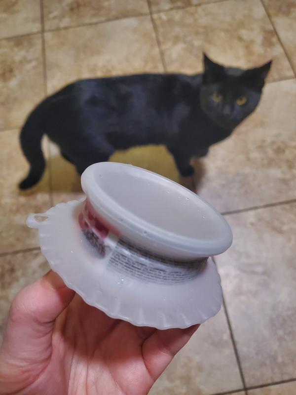 Even the cat was impressed it fit his 3oz can!