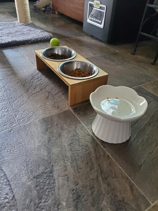 Almost always the 1st bowl they eat