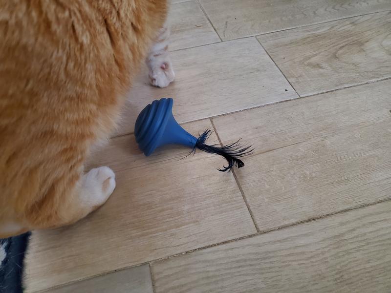 The wobbly feather toy after the dog chewed it. The last feather is still securely attached.