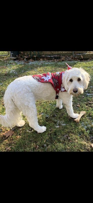 Christmas coat