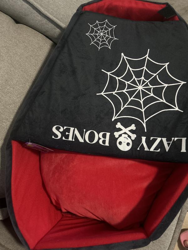 Photo - commentaire 7.