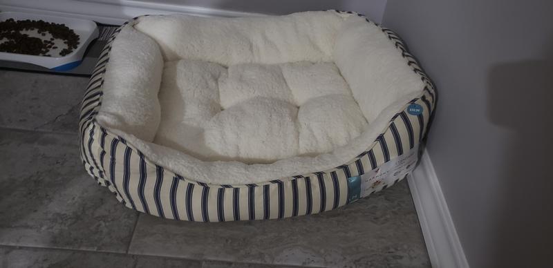 Photo - commentaire&nbsp;5.