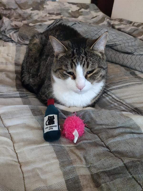 Gizmo