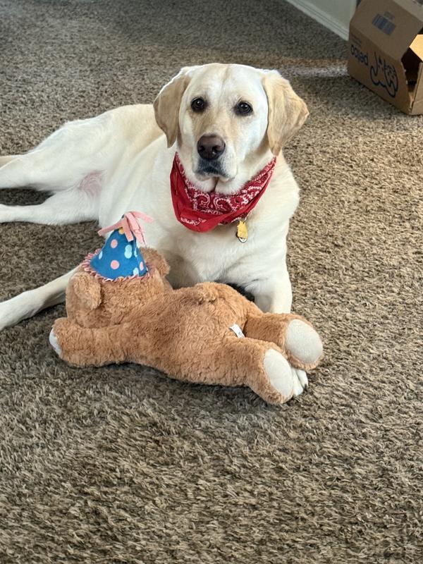 Happy birthday to me!