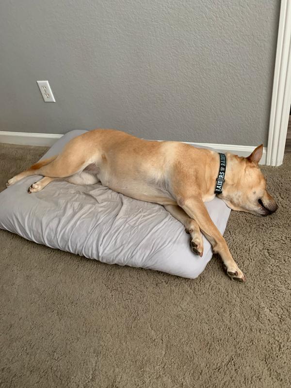 Photo - commentaire&nbsp;6.