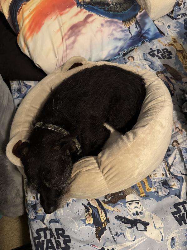 You can see he takes up every inch of the bed.