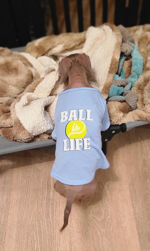 Love his T-shirt!