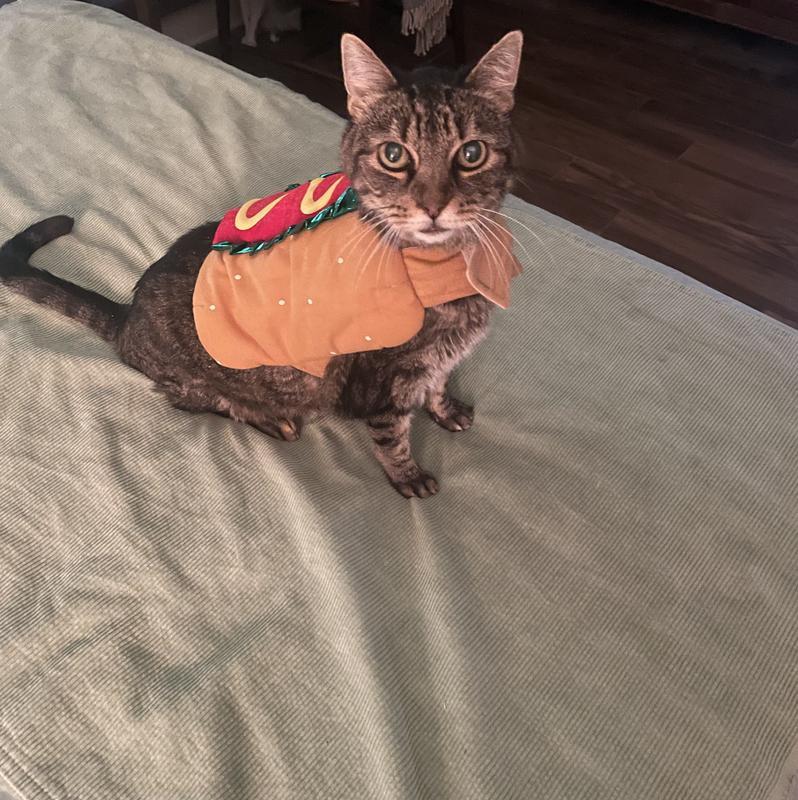 Photo - commentaire 8.