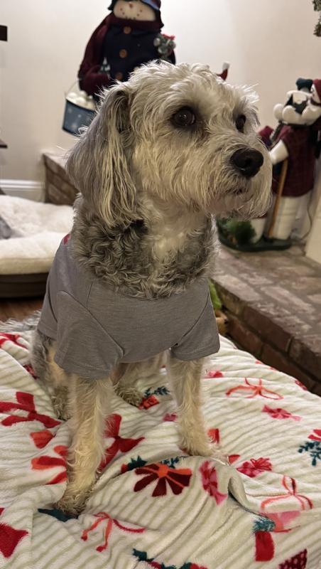 Macy has a deep chest, shirt is a little snug.