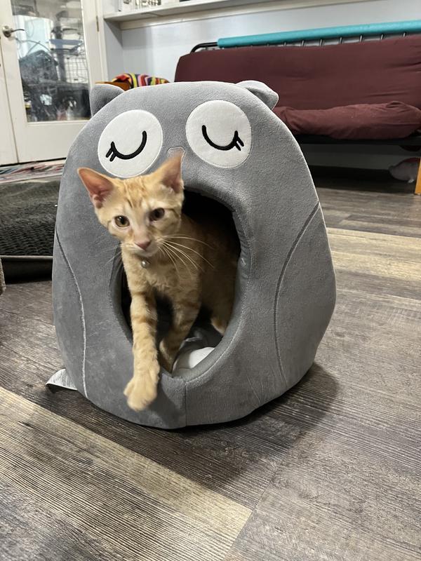 Cozy bed!