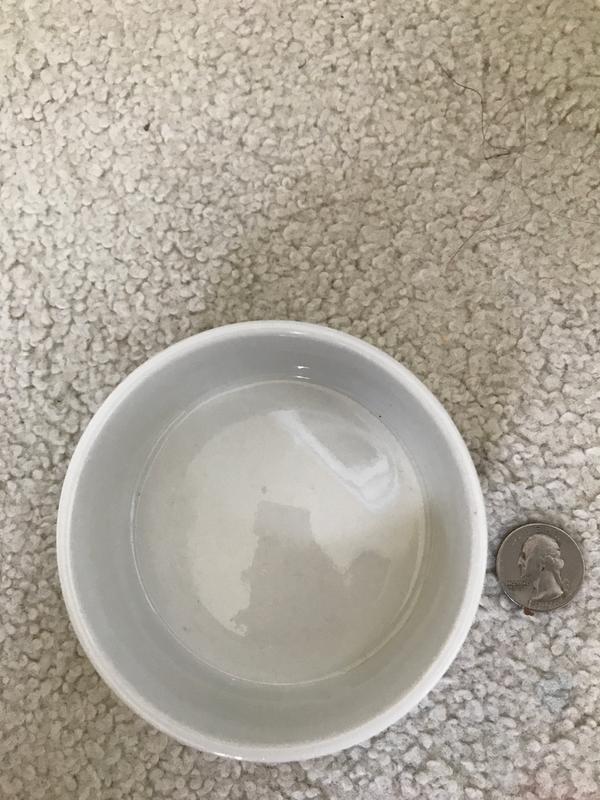Compared to quarter