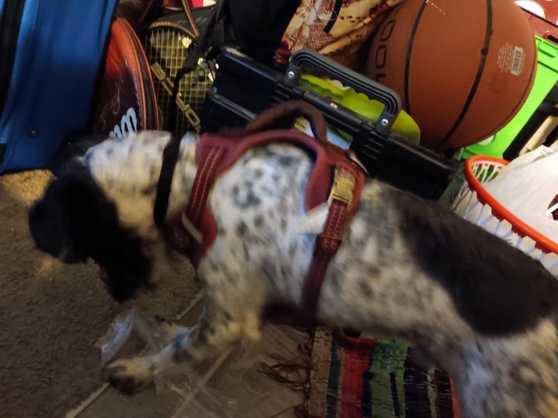 Photo - commentaire&nbsp;8.