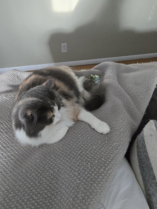 Trying to hide her toy