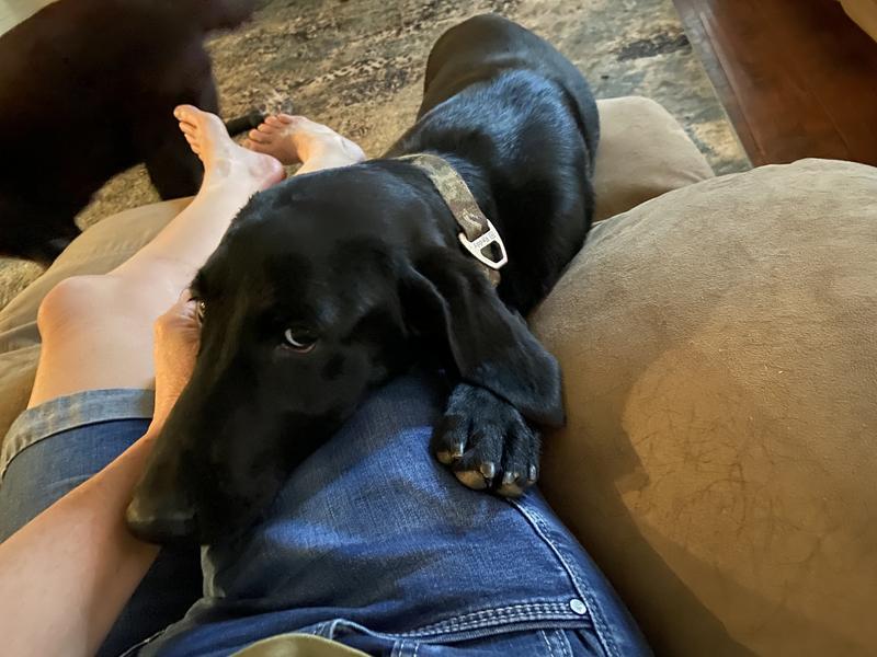 Sweet gal. Look at that clasp.
