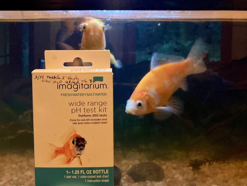 Toward a healthier aquarium