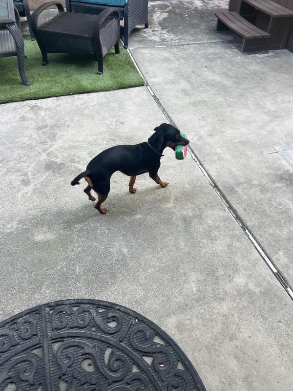 Photo - commentaire&nbsp;5.