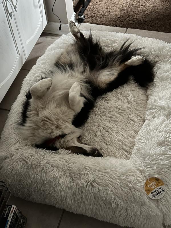 Duke’s bed
