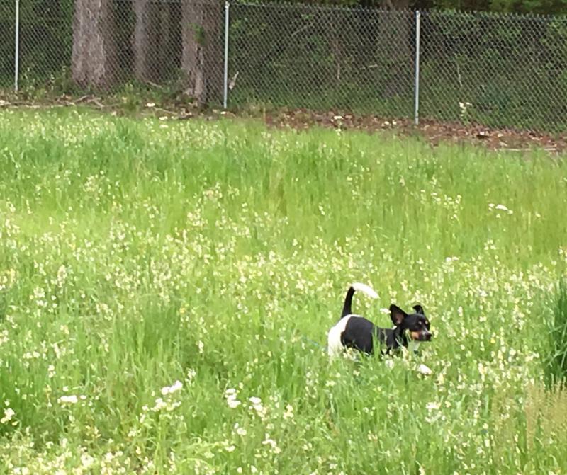 Photo - commentaire 8.