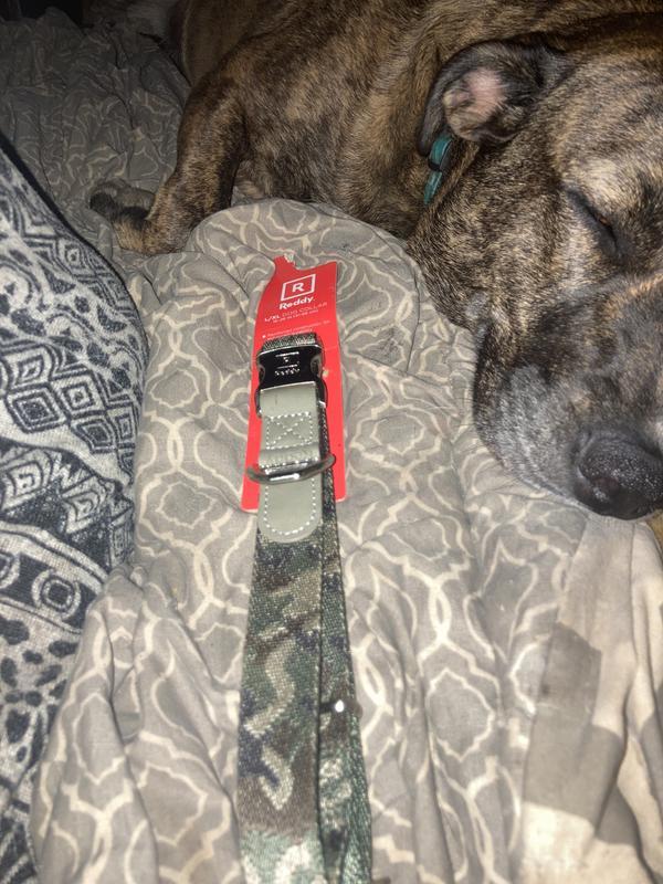 Heavy duty collar