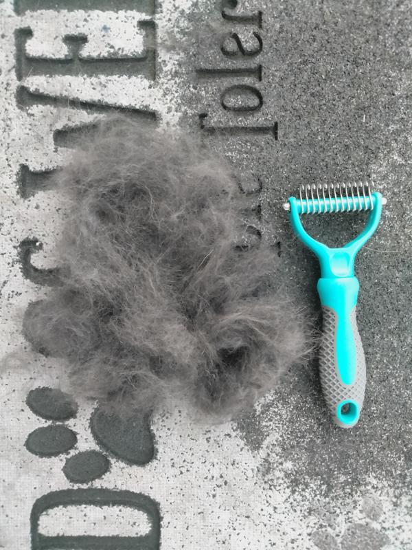 Doggie hair that didn't blow away