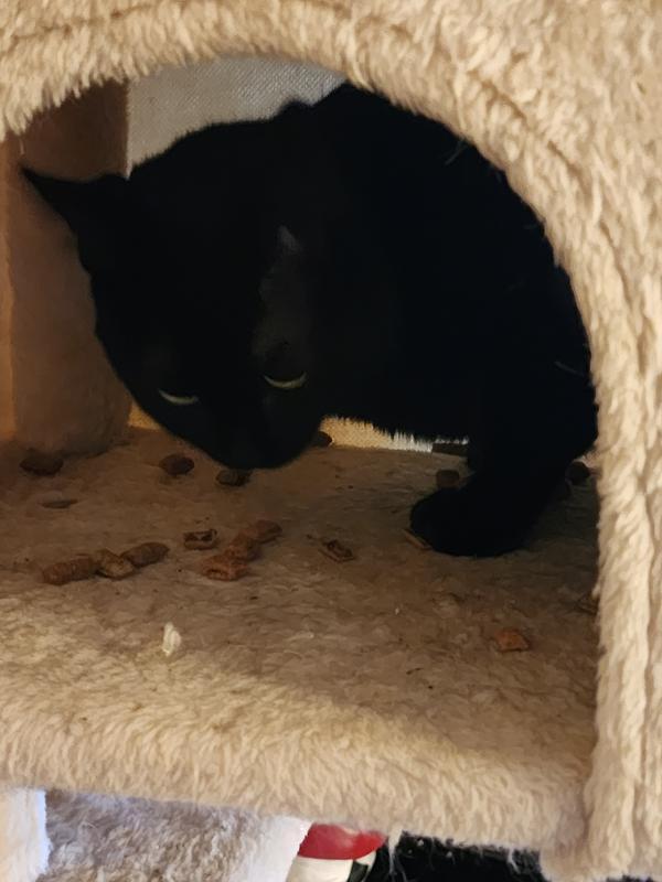 Magic approves of these snacks!