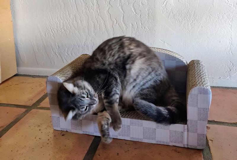 Great for rubbing against and sleeping on.