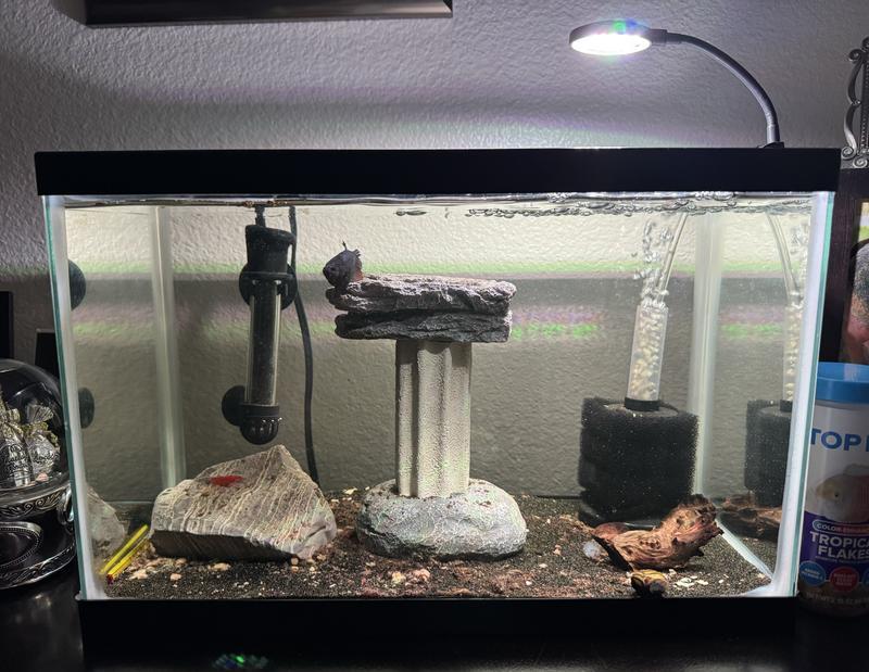 Clip On Aquarium Light
