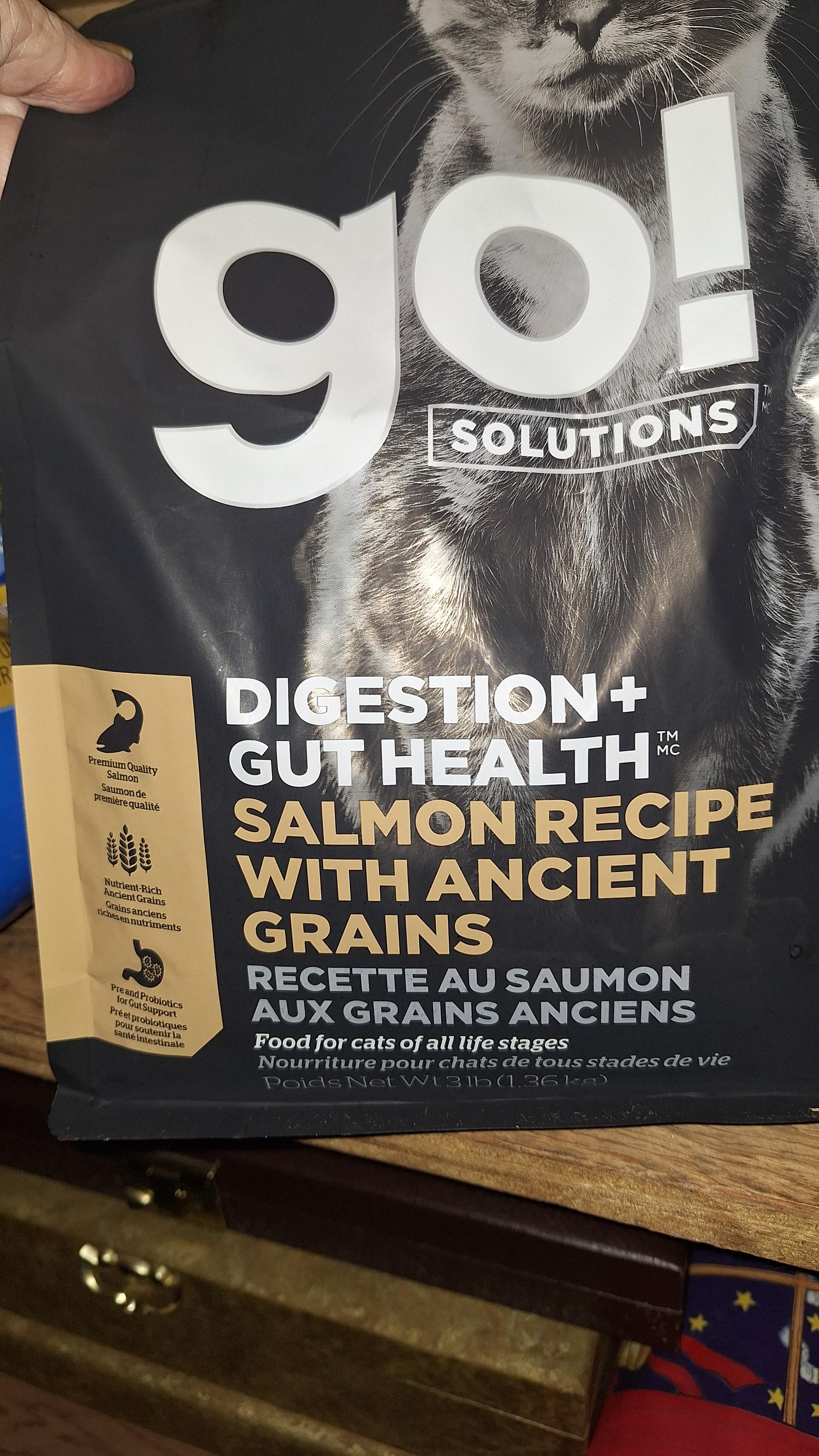 GO! SOLUTIONS Digestive + Gut Health Salmon Recipe with Ancient Grains for  Cats, 8-lb bag 
