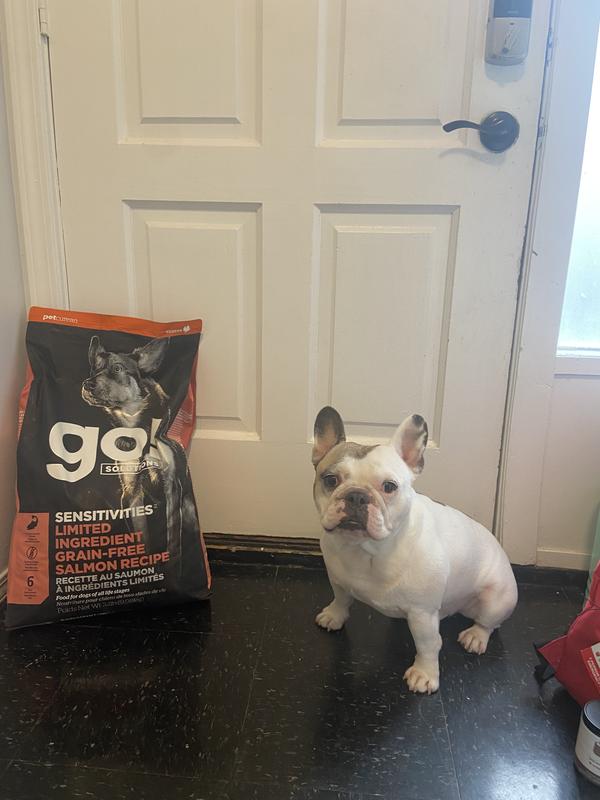 Go salmon dog food cheap review