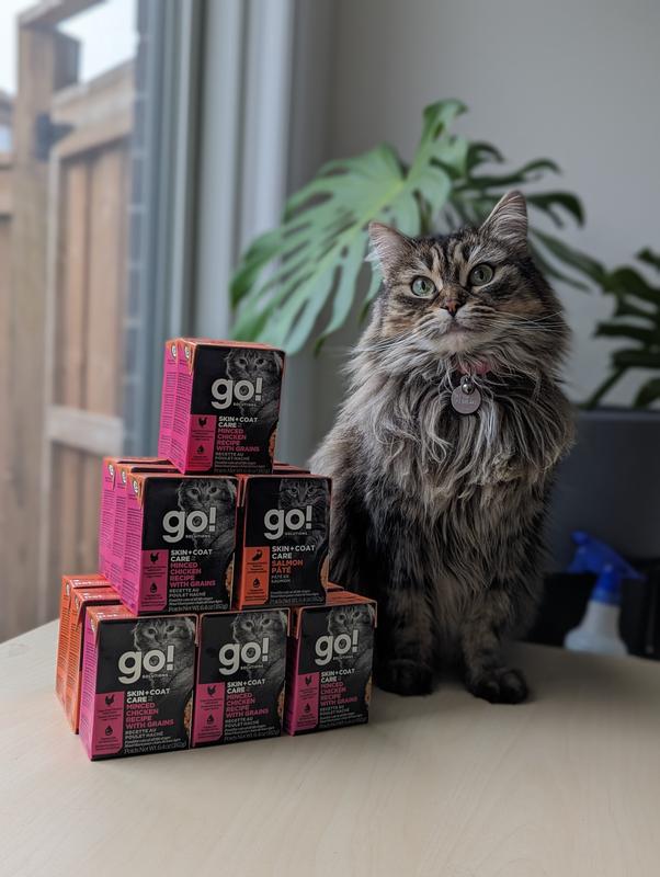 Petcurean Go! Skin & Coat Care Minced Chicken Recipe Wet Cat Food