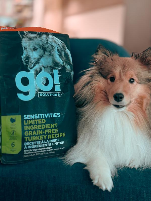 Go fit and free dog clearance food