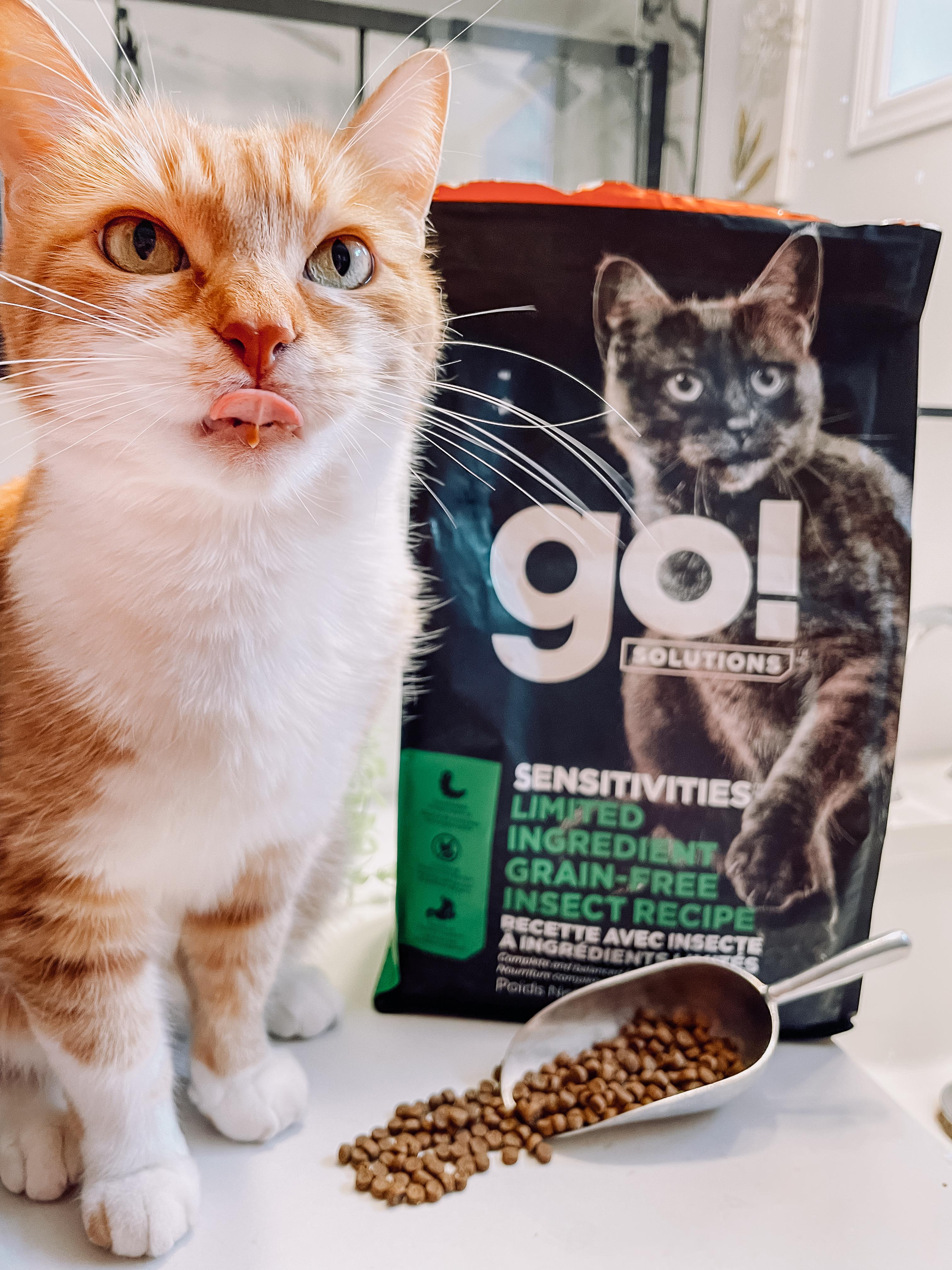 Go Solutions Sensitivities Limited Ingredient Grain Free Insect Based Cat Food