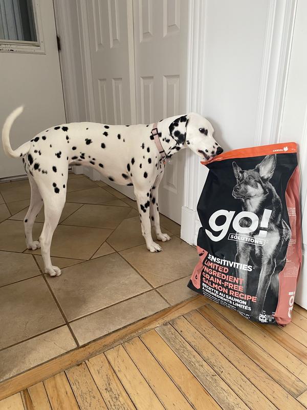 GO! SOLUTIONS Sensitivities Limited Ingredient Salmon Grain-Free