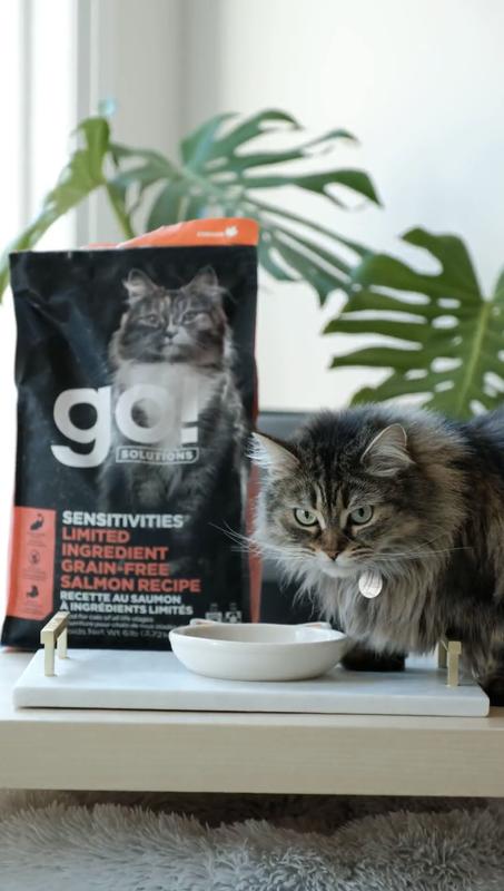 Go Weight Management Cat Food Go! Solutions Skin Coat Care