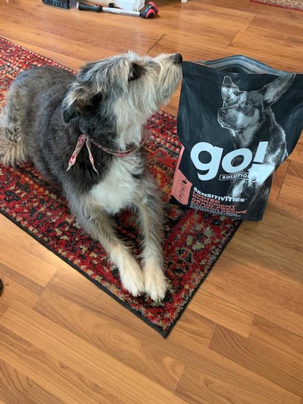 Go natural shop dog food review