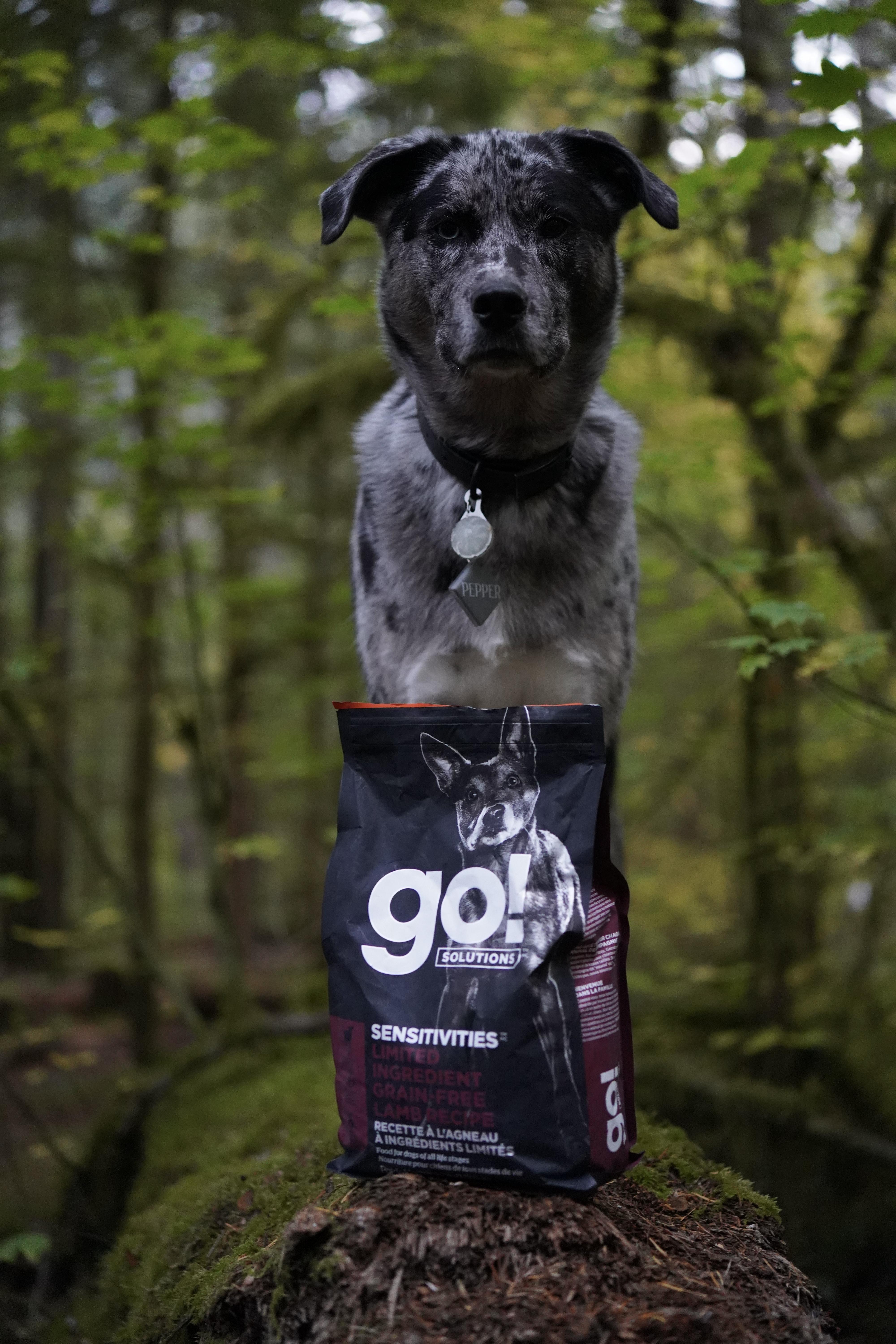 Petcurean Go! Sensitivities Limited Ingredient Grain Free Lamb Recipe Dry Dog Food