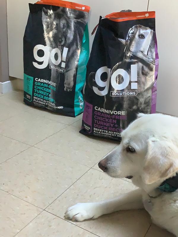 Go natural dog food review best sale