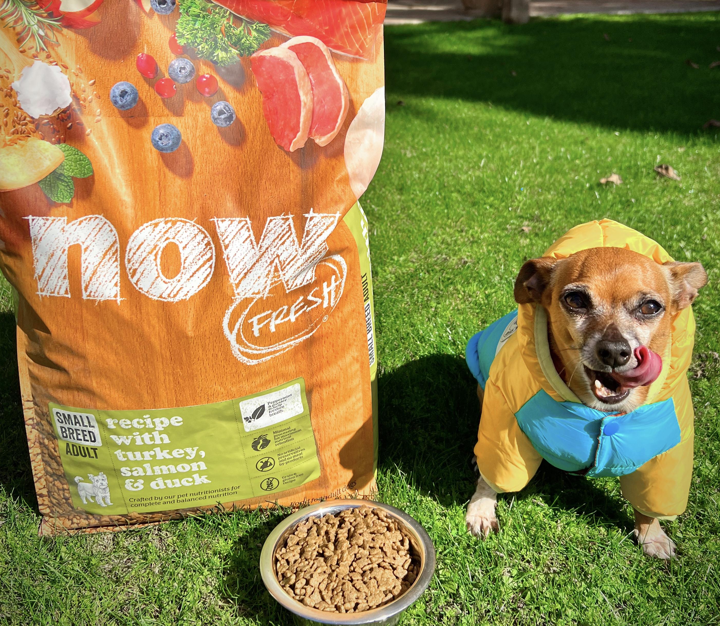 Now fresh small hot sale breed puppy food